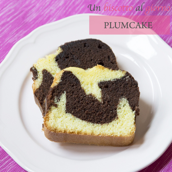 plumcake-variegato-cacao